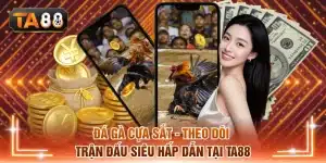 Đá gà cựa sắt