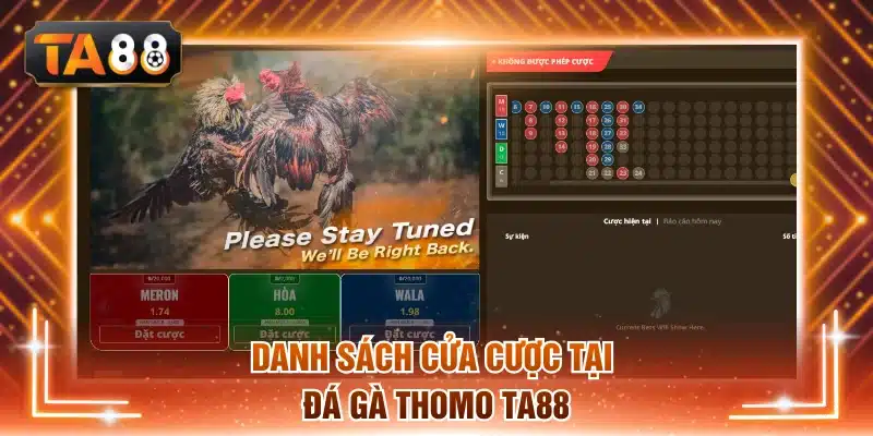 Hệ thống cửa cược tại đấu trường Thomo dễ hiểu