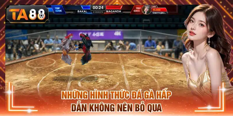 Những hình thức đá gà hấp dẫn không nên bỏ qua