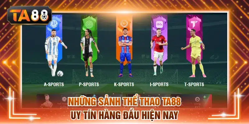Những sảnh thể thao TA88 uy tín hàng đầu hiện nay